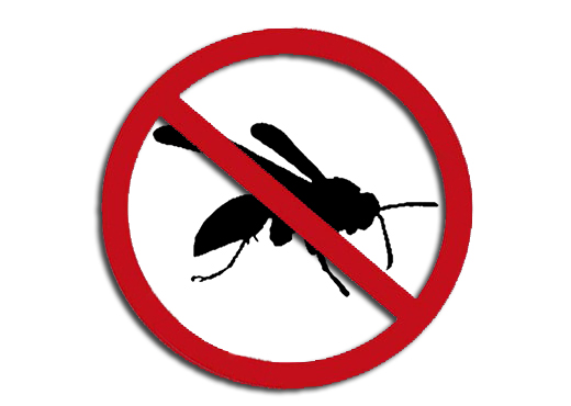 Remoção e dedetização de marimbondos