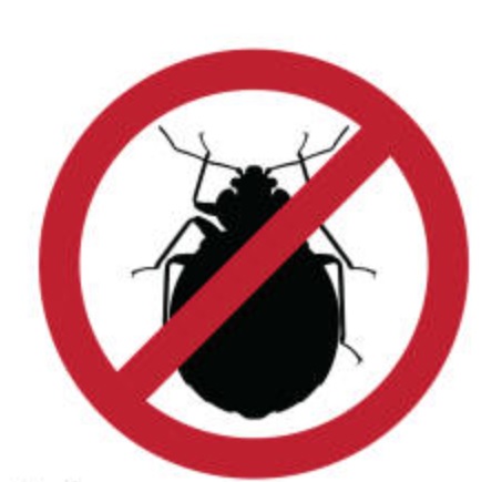 Dedetização de percevejos