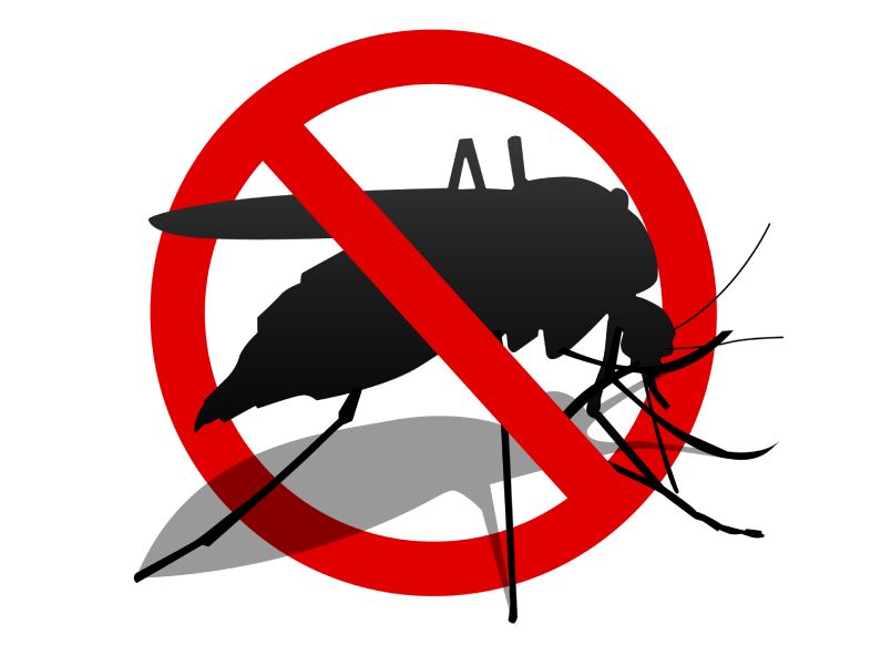 Dedetização de pernilongos