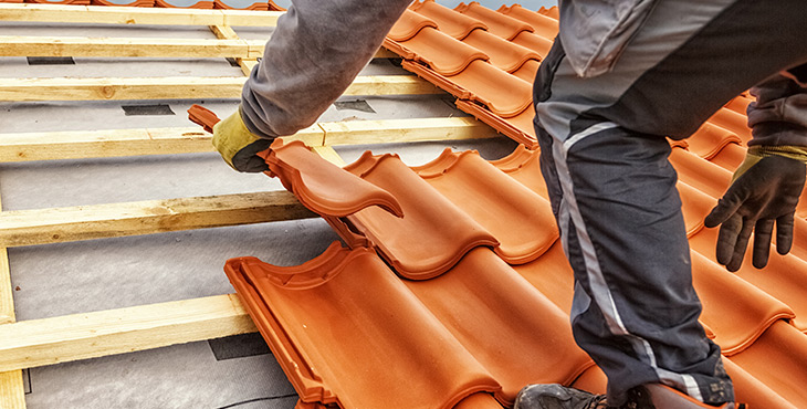 manutenção de telhados