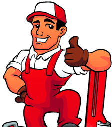 Dedetização de pulgas